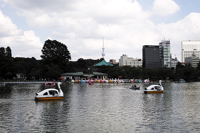 2017年9月10日13時24分/不忍池ボート池
