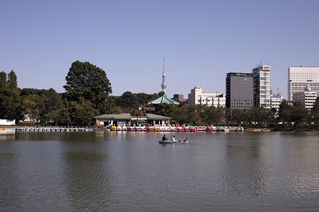 2016年10月20日13時14分/不忍池ボート池