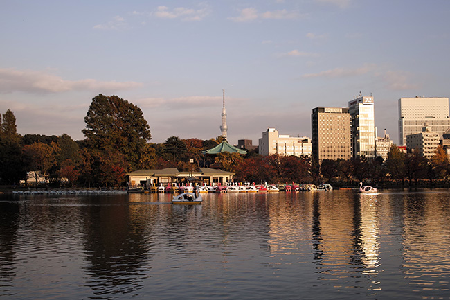 2016年11月18日15時39分/不忍池ボート池