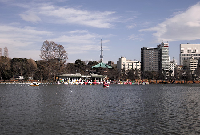 2017年2月17日13時43分/不忍池ボート池