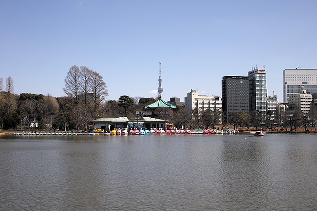 2017年3月17日12時42分/不忍池ボート池