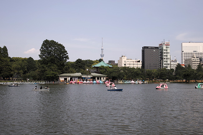 2017年5月12日14時13分/不忍池ボート池