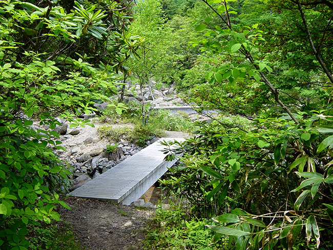 遊歩道を歩く/香草温泉へ