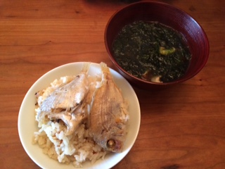 image1.jpeg