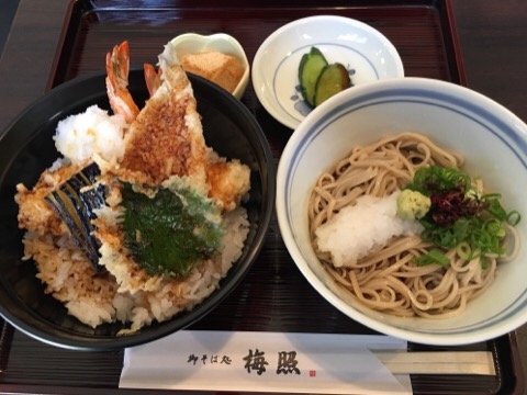 image1.jpeg