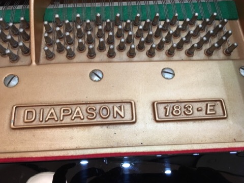 image1.jpeg