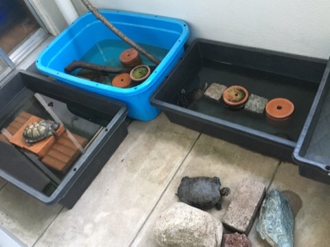 image1.jpeg