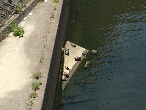 image1.jpeg