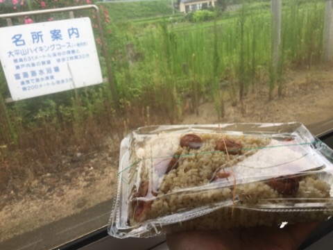 image1.jpeg
