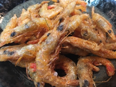 image1.jpeg