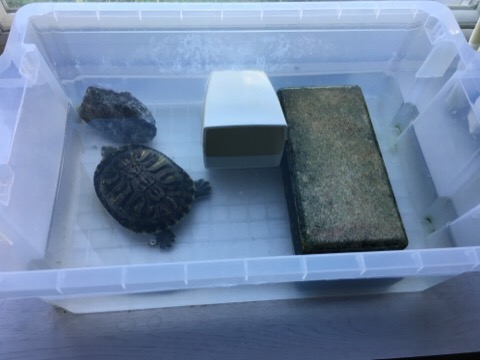 image1.jpeg