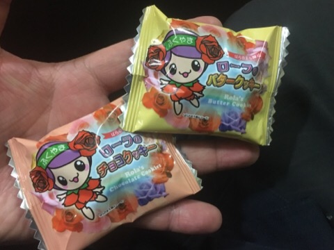 image1.jpeg