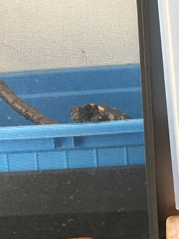 image1.jpeg