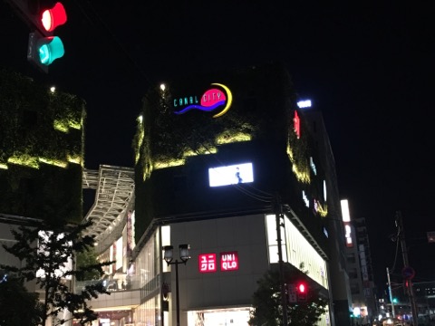 image1.jpeg