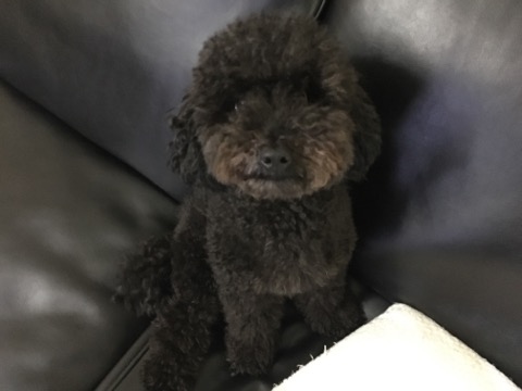 image1.jpeg