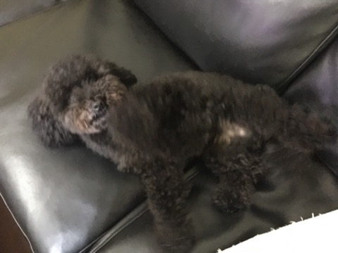 image1.jpeg