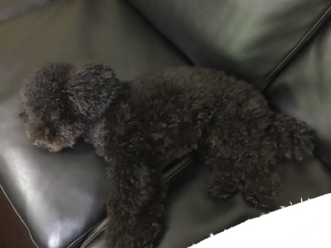 image1.jpeg