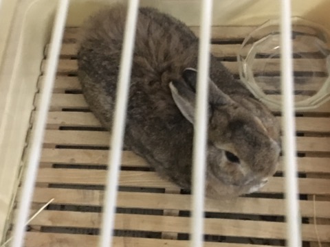 image1.jpeg