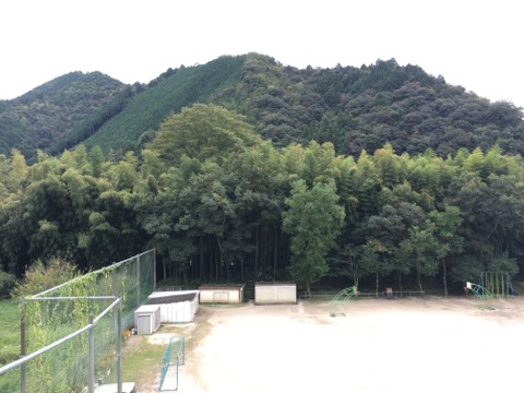 image1.jpeg