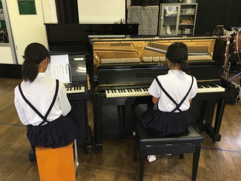 image1.jpeg