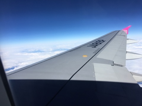 image1.jpeg