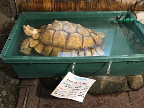 image1.jpeg