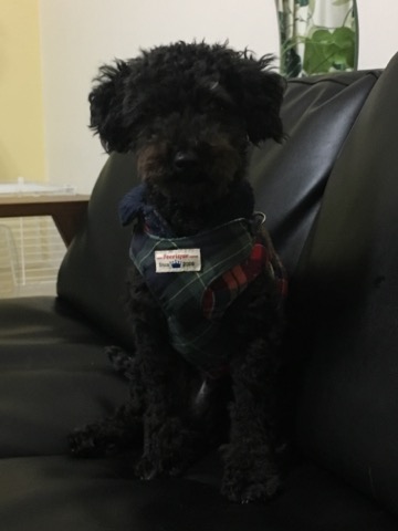 image1.jpeg
