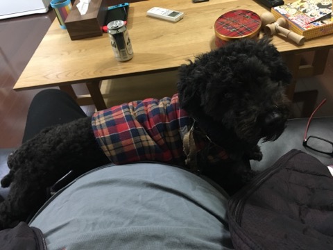 image1.jpeg