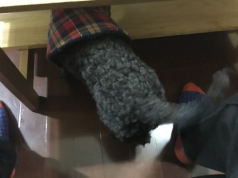 image1.jpeg