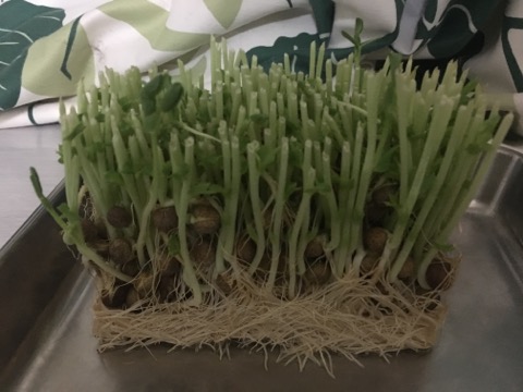 image1.jpeg