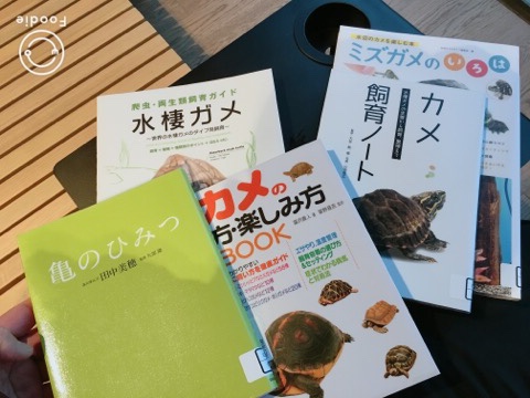 image1.jpeg