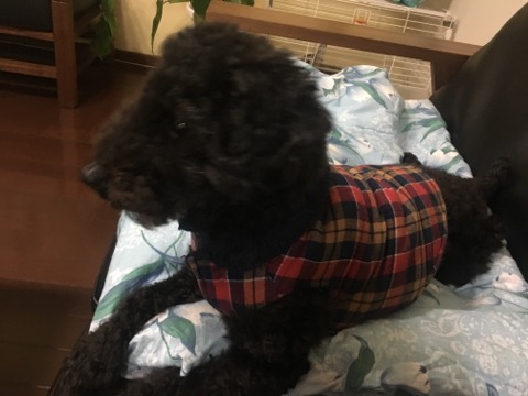 image1.jpeg