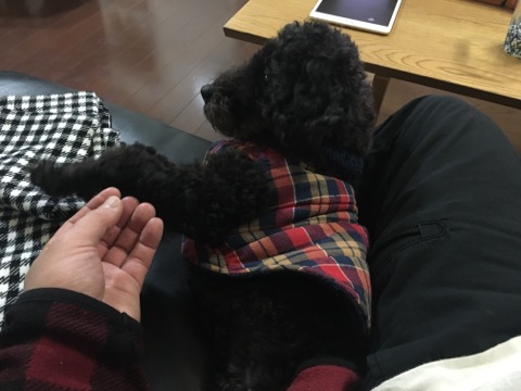 image1.jpeg