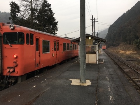 image1.jpeg