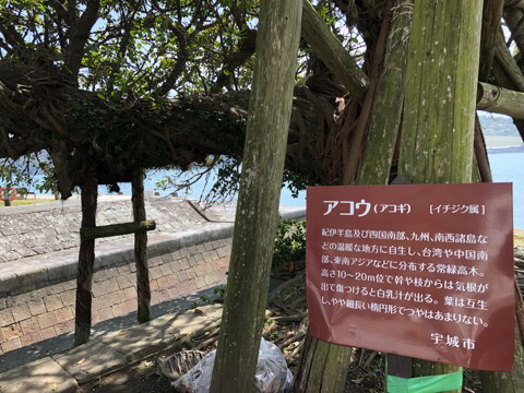 IMG_4941.JPG
