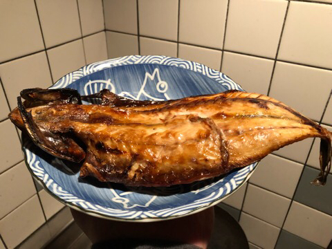 IMG_5003.JPG