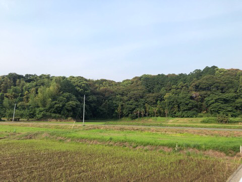 IMG_2669.JPG