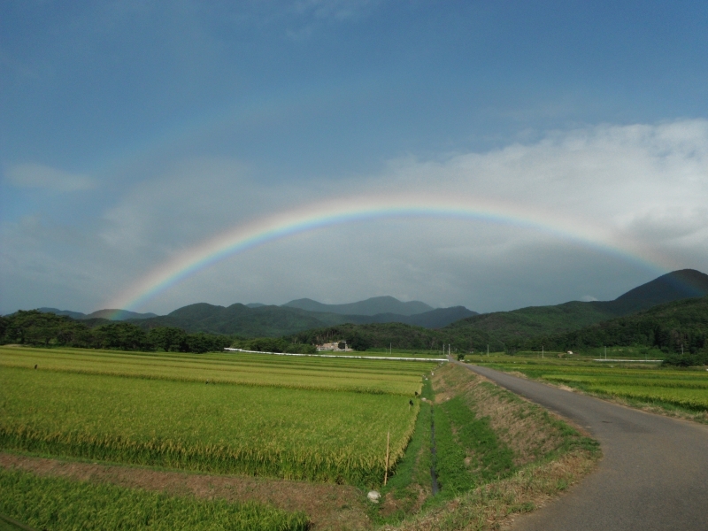 画像 2116.jpg