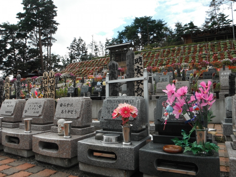 画像 2129.jpg