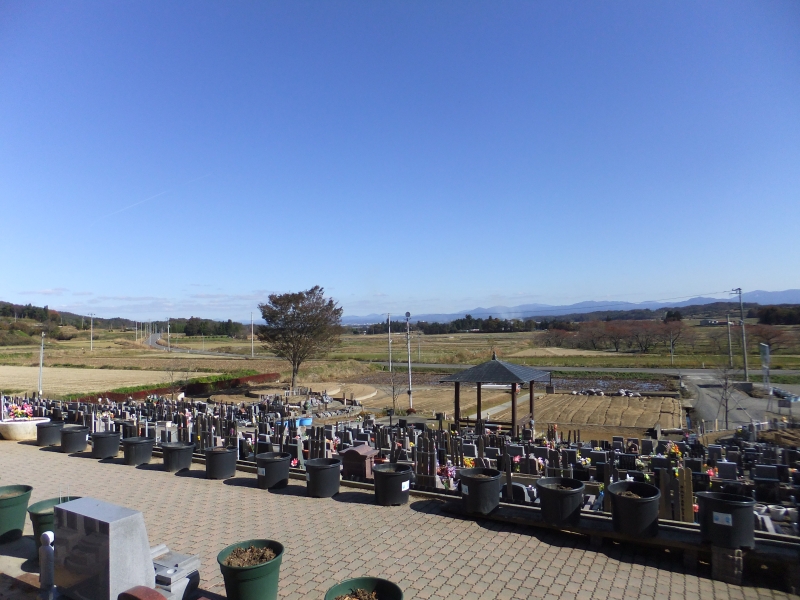 画像 2151.jpg