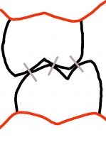 生えたて