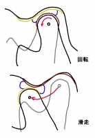 開口運動