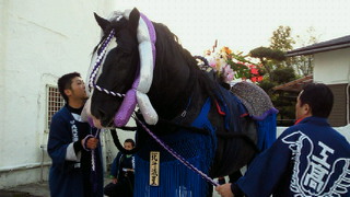 201111151705002.jpg