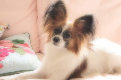 きゃー!!!