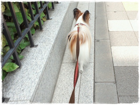 2012061512300001.jpg