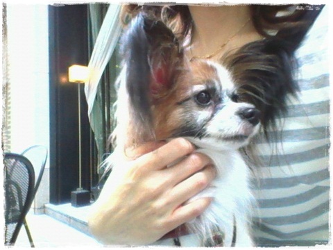 2012061512450001.jpg