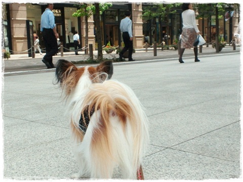 2012061514060000.jpg