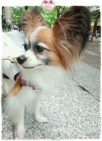 2012061514050000.jpg