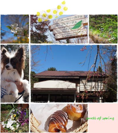 page3.jpg