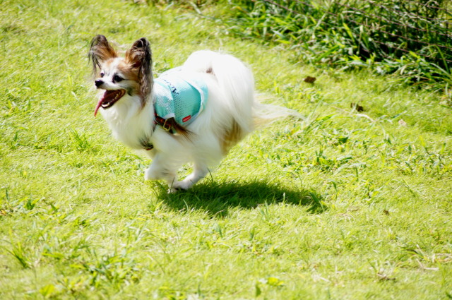 DSC05768.jpg